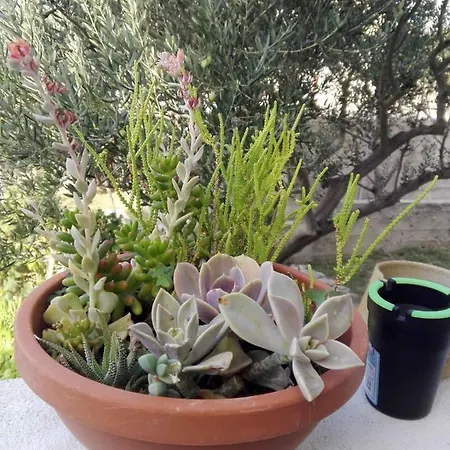 In Razanac 35305